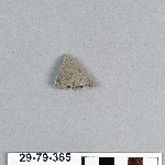 491617