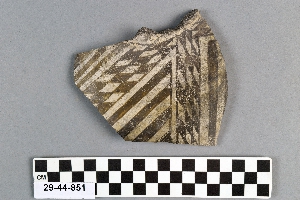 29-44-851