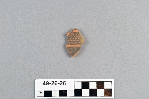 49-26-26