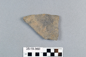 35-19-36D