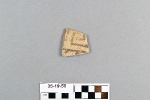 35-19-50