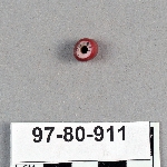 493511