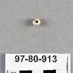 493515
