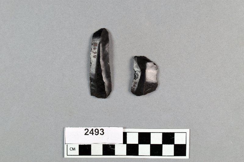 493646