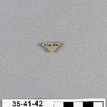 494066