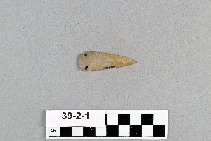 39-2-1