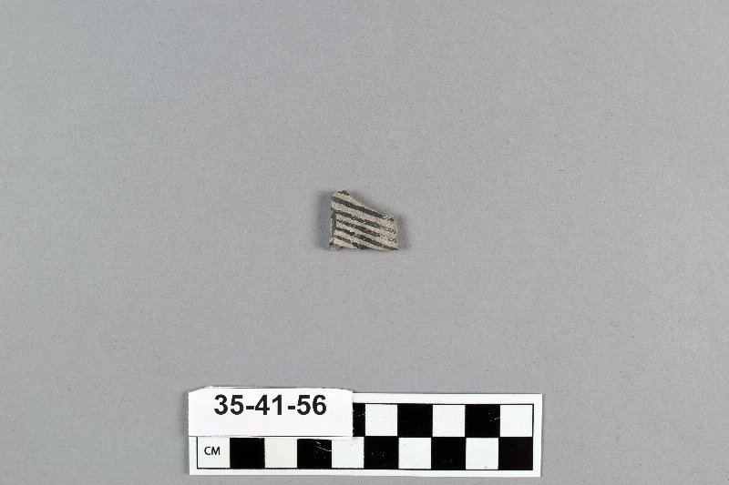 494313
