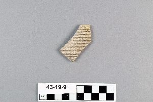 43-19-9