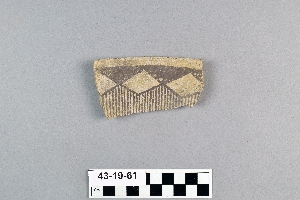 43-19-61