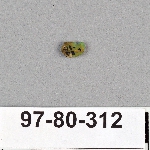 495019