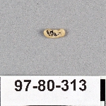495021