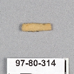 495023