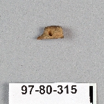 495025