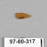 495029