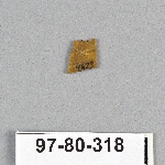 495031