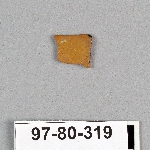495033