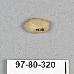495035
