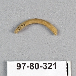 495037