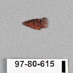 495039