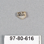 495041