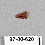 495045