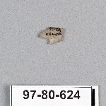 495047