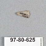 495049
