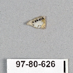 495051