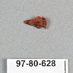 495055