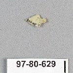495057