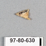 495059