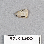 495061