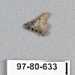 495063