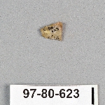495070