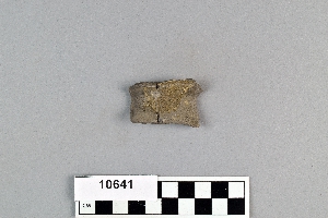10641