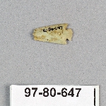 495252