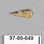 495256