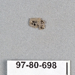 495346