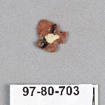 495352