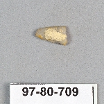 495364