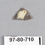 495366