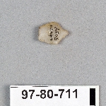 495368
