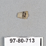 495373