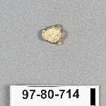 495374