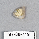 495384