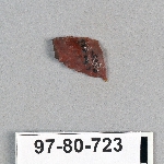 495392