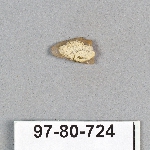 495394