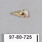 495396