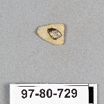 495404