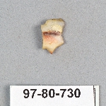 495406